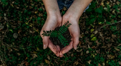 Environmental Awareness in Lagos
